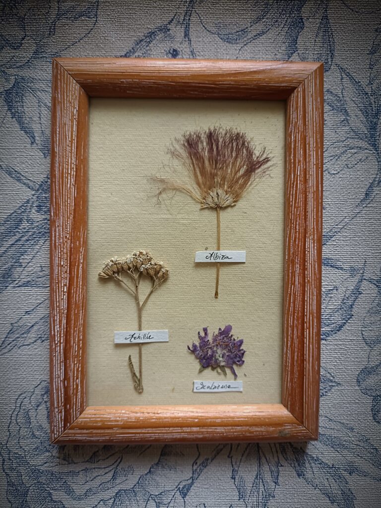 Cadre herbier fleurs séchées